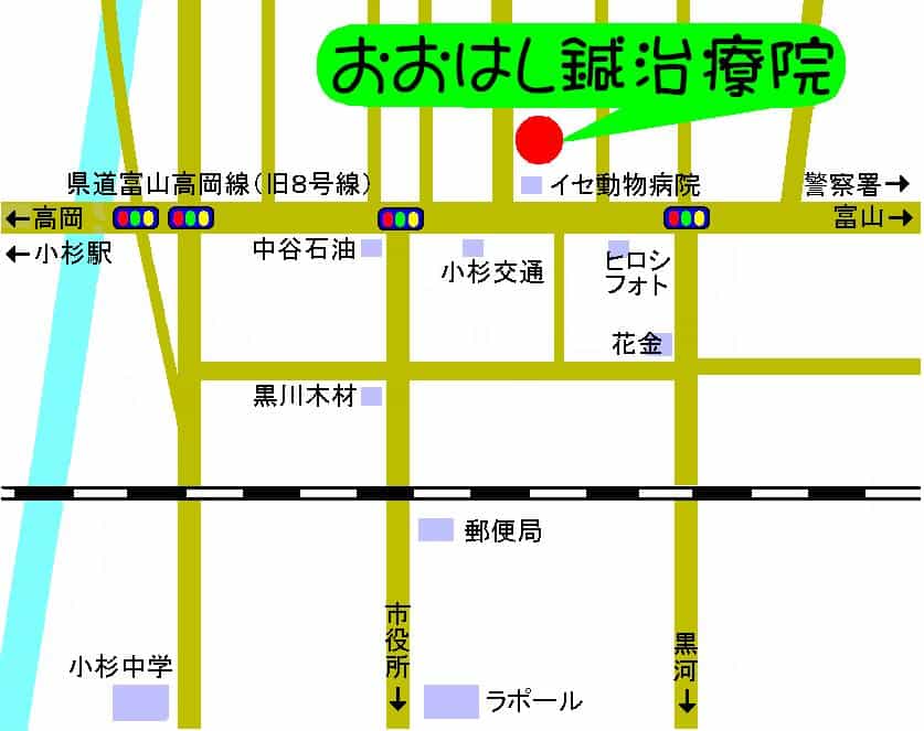 おおはし鍼治療院は県道44号富山高岡線（旧８号線）沿い、いせ動物病院さんの隣です